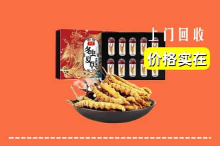 邢台内丘县回收冬虫夏草