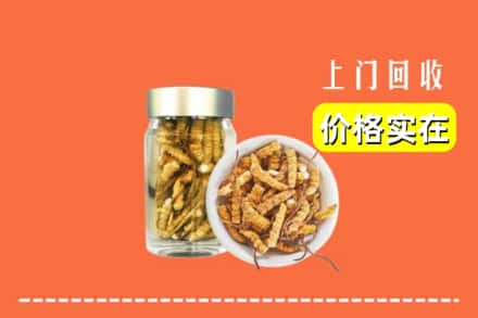 收购资讯:邢台内丘县回收散虫草
