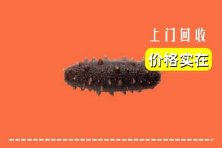 收购资讯:邢台内丘县回收海参