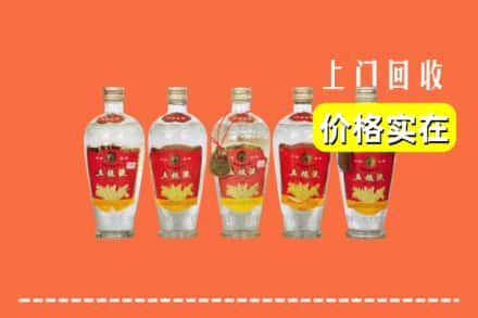 邢台内丘县回收老五粮液